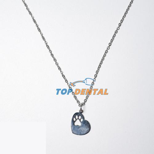 DIJE VETERINARIA + CADENA - ML
